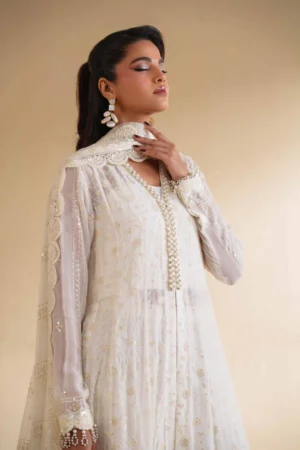 3 Piece - Dyed Embroidered Suit - NS42501507 - Image 5