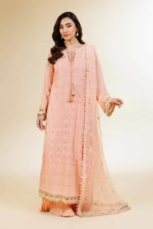 3 Piece - Dyed Embroidered Suit - NS42501510 - Image 3