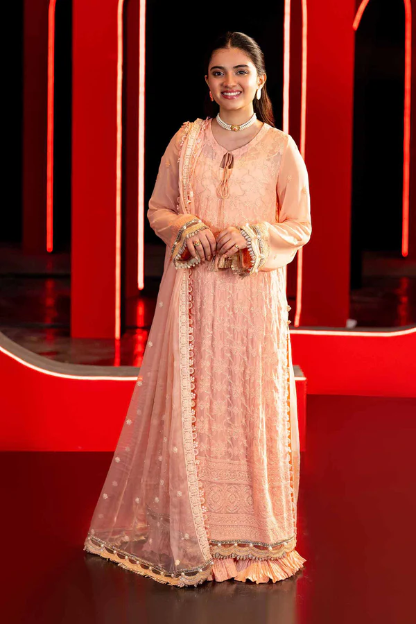 3 Piece - Dyed Embroidered Suit - NS42501510
