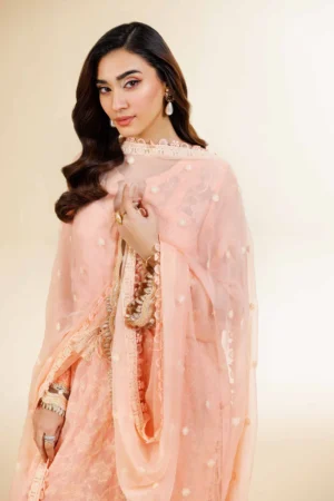 3 Piece - Dyed Embroidered Suit - NS42501510 - Image 6