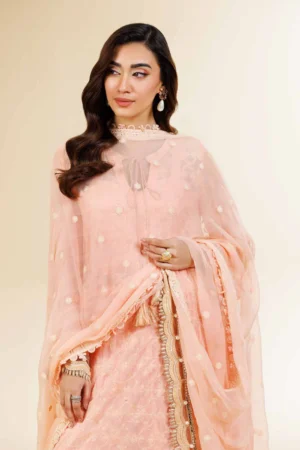 3 Piece - Dyed Embroidered Suit - NS42501510 - Image 5