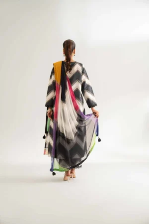 3 Piece - Digital Printed Embroidered Suit - NS42501700 - Image 3