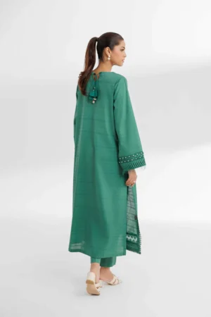 2 Piece - Dyed Embroidered Suit - NS42502055 - Image 4