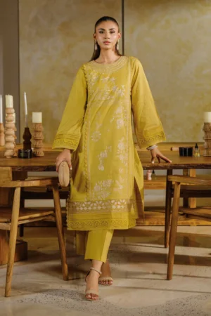 2 Piece - Dyed Embroidered Suit - NS42502056 - Image 3