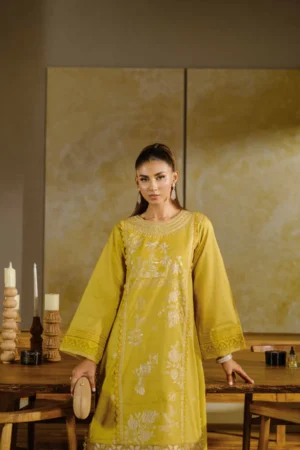 2 Piece - Dyed Embroidered Suit - NS42502056 - Image 4