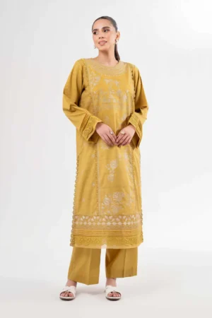 2 Piece - Dyed Embroidered Suit - NS42502056
