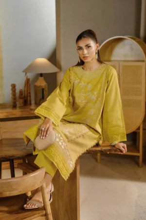 2 Piece - Dyed Embroidered Suit - NS42502056 - Image 5