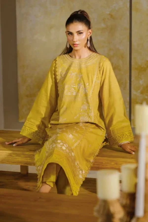 2 Piece - Dyed Embroidered Suit - NS42502056 - Image 6