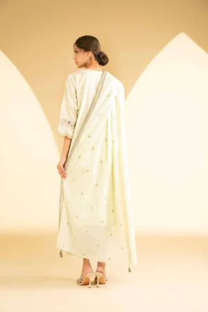 3 Piece - Embroidered Suit - NSKFE25-30 - Image 5