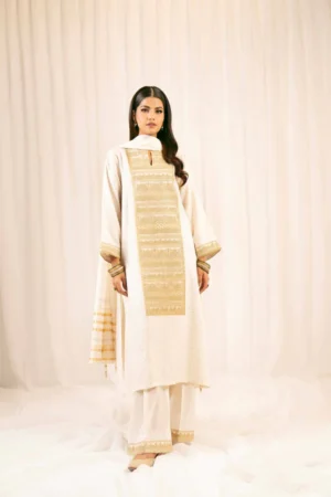 3 Piece - Embroidered Suit - NSPFE25-20 (FESTIVE COLLECTION)