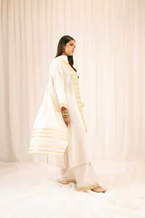 3 Piece - Embroidered Suit - NSPFE25-20 (FESTIVE COLLECTION) - Image 4