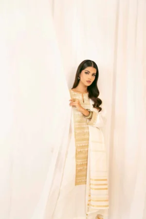 3 Piece - Embroidered Suit - NSPFE25-20 (FESTIVE COLLECTION) - Image 5