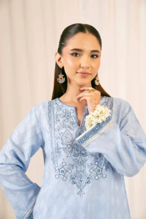 2 Piece - Embroidered Suit - NSPFE25-22 (FESTIVE COLLECTION) - Image 2