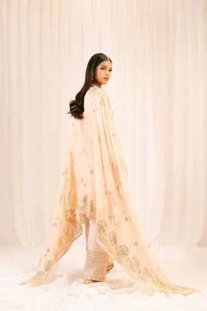 3 Piece - Embroidered Suit - PFE25-29 (FESTIVE COLLECTION) - Image 7