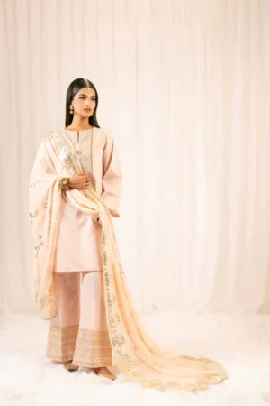 3 Piece - Embroidered Suit - PFE25-29 (FESTIVE COLLECTION) - Image 6