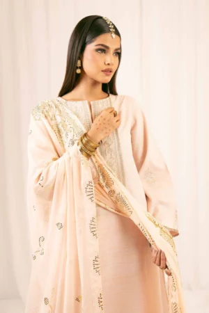 3 Piece - Embroidered Suit - PFE25-29 (FESTIVE COLLECTION) - Image 5