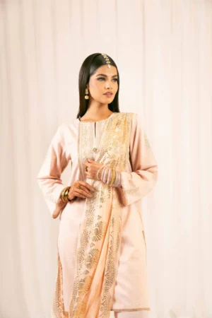 3 Piece - Embroidered Suit - PFE25-29 (FESTIVE COLLECTION) - Image 3
