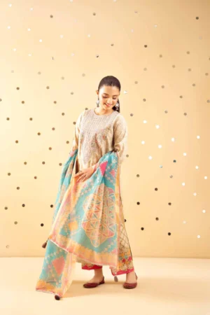 3 Piece - Printed Embroidered Suit - NSPE25-489 MIRROR WORK - Image 6
