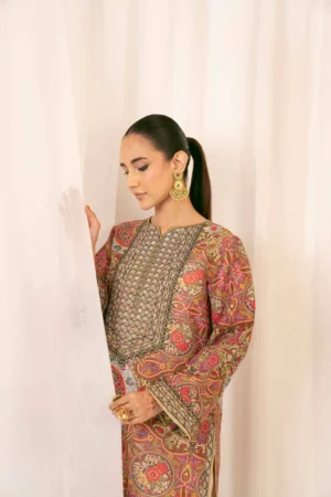 2 Piece - Printed Embroidered Suit - NSPFE25-05 (FESTIVE COLLECTION) - Image 2
