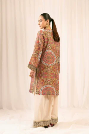 2 Piece - Printed Embroidered Suit - NSPFE25-05 (FESTIVE COLLECTION) - Image 3