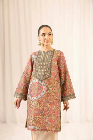 2 Piece - Printed Embroidered Suit - NSPFE25-05 (FESTIVE COLLECTION) - Image 4