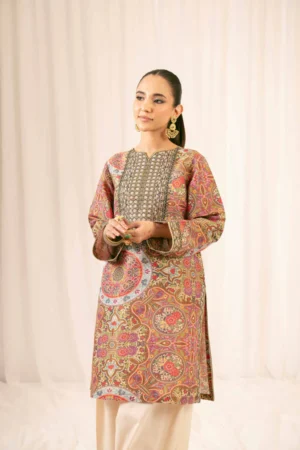 2 Piece - Printed Embroidered Suit - NSPFE25-05 (FESTIVE COLLECTION) - Image 5