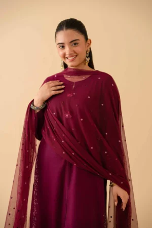 3 Piece - Embroidered Suit - NSPE25-509 (KALAM KARI) - Image 6