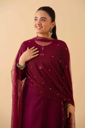 3 Piece - Embroidered Suit - NSPE25-509 (KALAM KARI) - Image 7