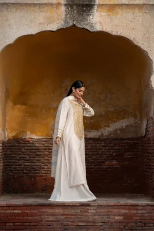3 Piece - Embroidered Suit - NSPFE25-12 (FESTIVE COLLECTION) - Image 3