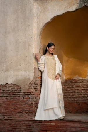 3 Piece - Embroidered Suit - NSPFE25-12 (FESTIVE COLLECTION) - Image 5