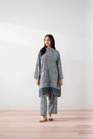 2 Piece - Printed Embroidered Suit - NSPS25-138 - Image 5