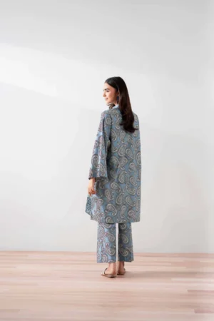 2 Piece - Printed Embroidered Suit - NSPS25-138 - Image 4