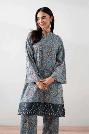 2 Piece - Printed Embroidered Suit - NSPS25-138