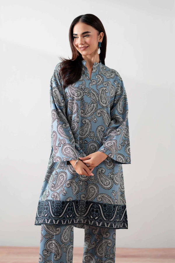 2 Piece - Printed Embroidered Suit - NSPS25-138