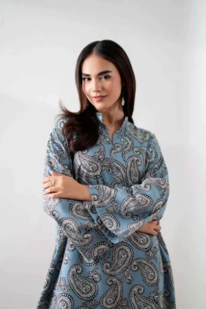 2 Piece - Printed Embroidered Suit - NSPS25-138 - Image 2