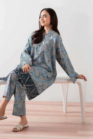 2 Piece - Printed Embroidered Suit - NSPS25-138 - Image 3